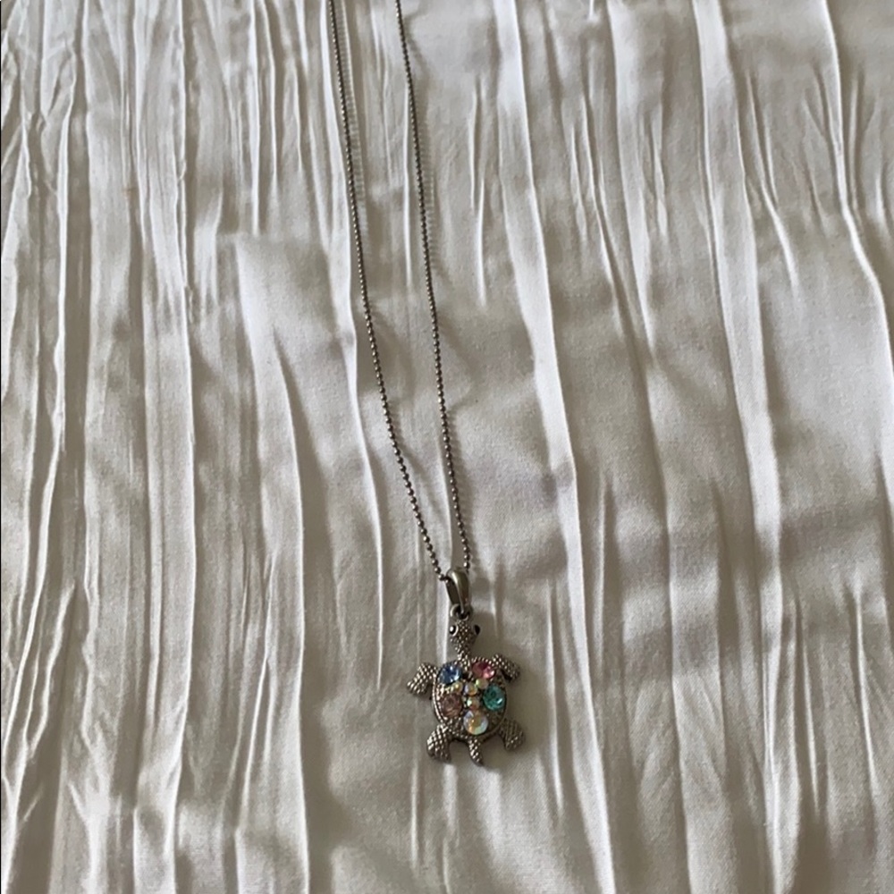 turtle necklace